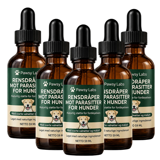 Pawsy Labs