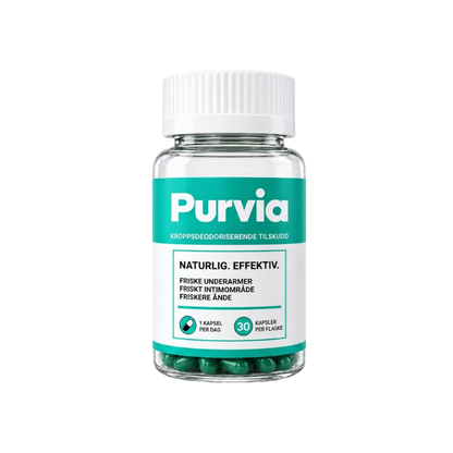 Purvia